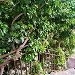 شاليه El Molino *