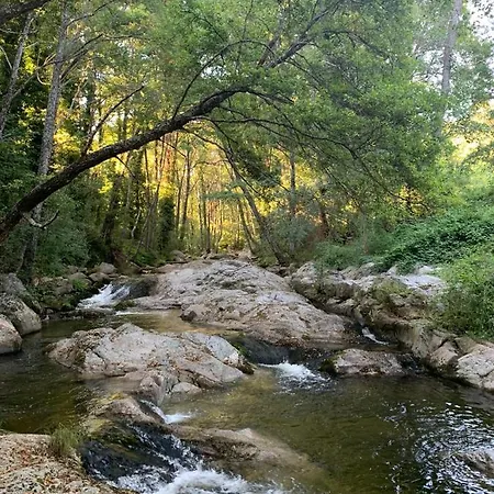 Alpehytte El Molino