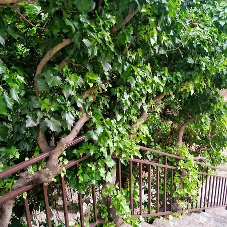 شاليه El Molino *